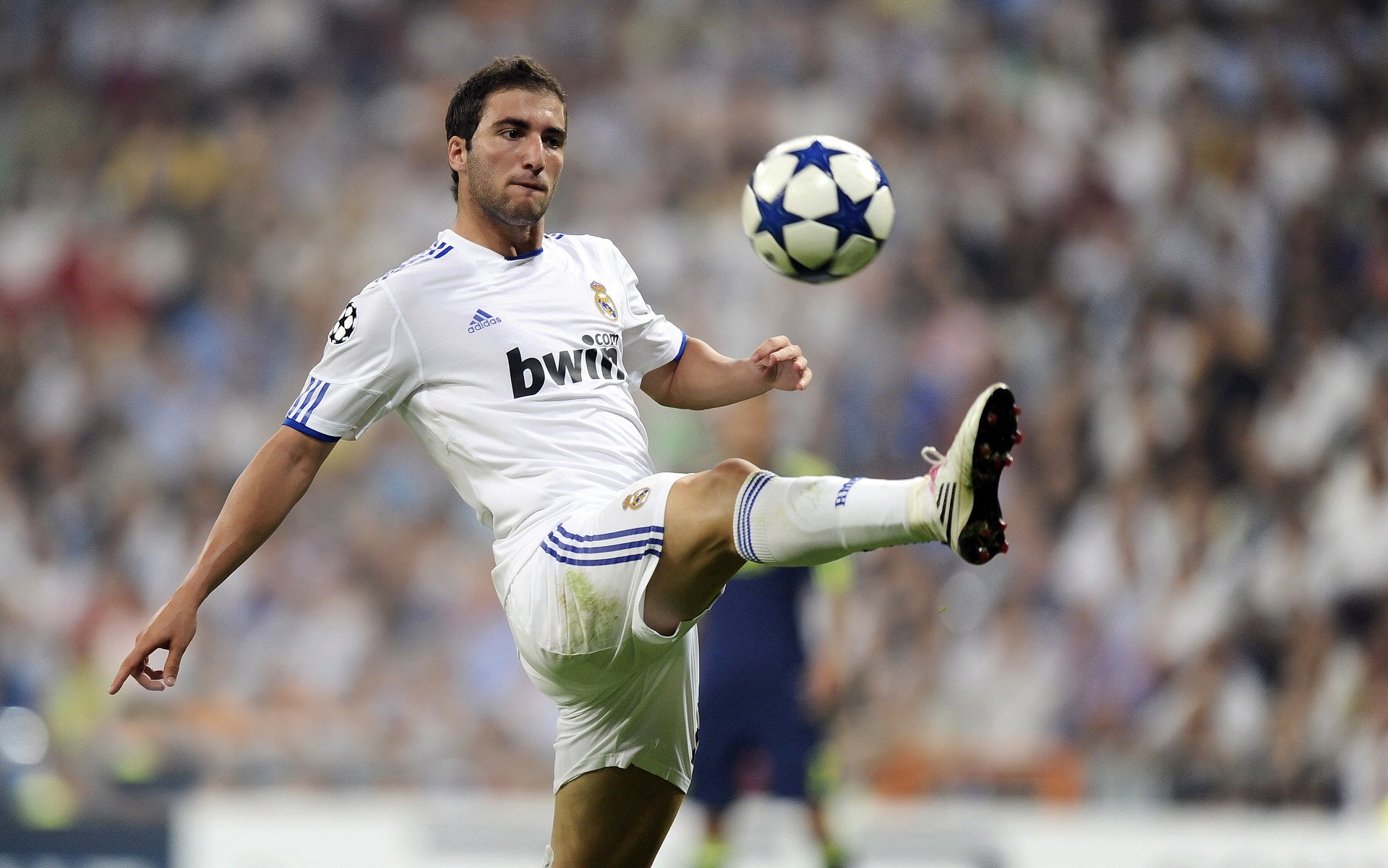 多特蒙德青年军再度成为焦点，多特蒙德青训人才